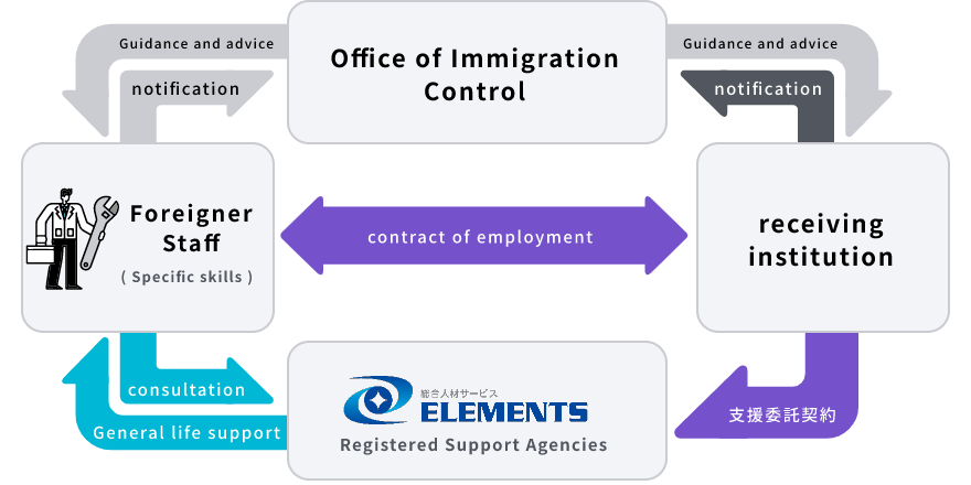 Correlations between receiving institutions, immigration authorities, our company, and foreign staff