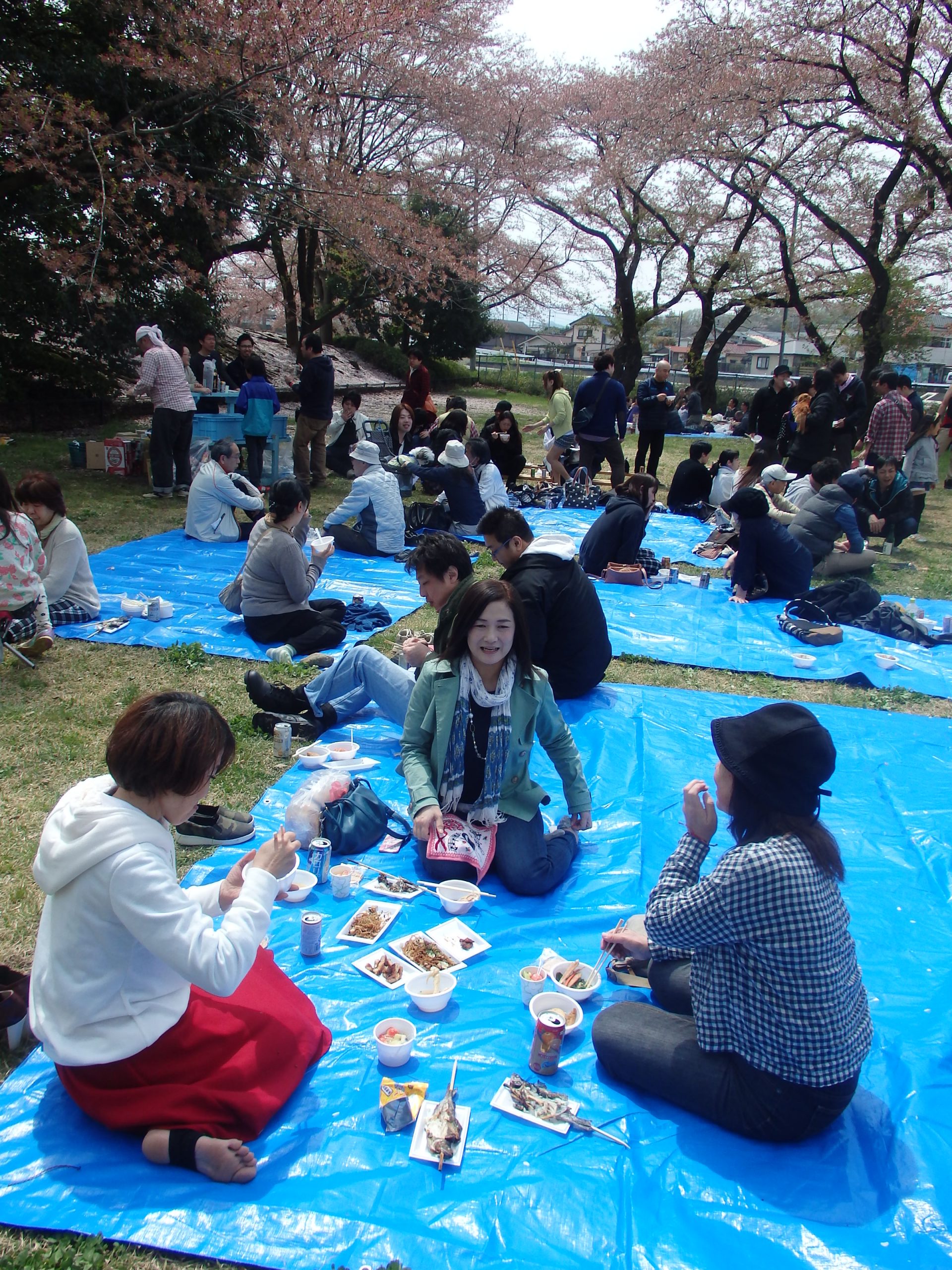 総合人材サービスエレメンツの2015年お花見